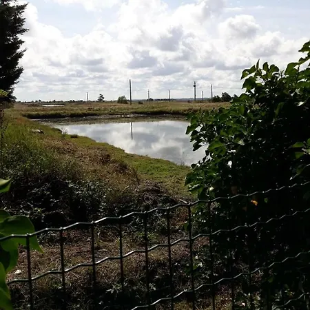 Le Marais Chevalier Bouin (Vendee)