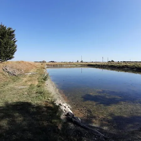 Le Marais Chevalier Bouin (Vendee)